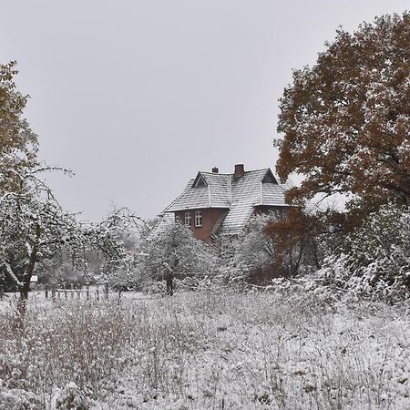 Ferienwohnung Ehemalige Revierfoersterei "Uns Luett" Kuhstorf Exteriör bild