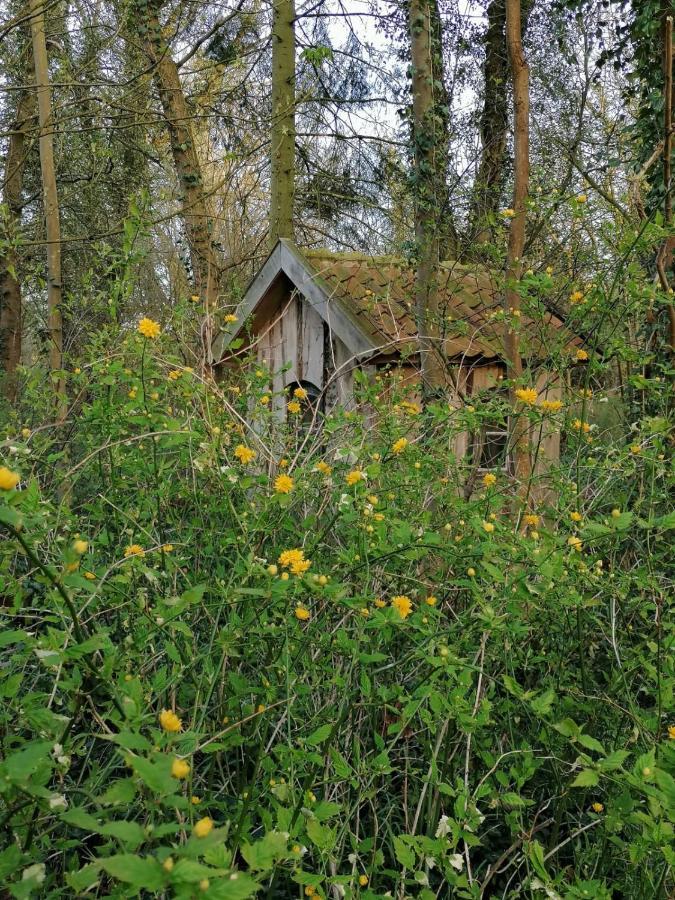 Ferienwohnung Ehemalige Revierfoersterei "Uns Luett" Kuhstorf Exteriör bild